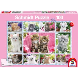 Puzzle Schmidt: Pisoiași, 100 piese
