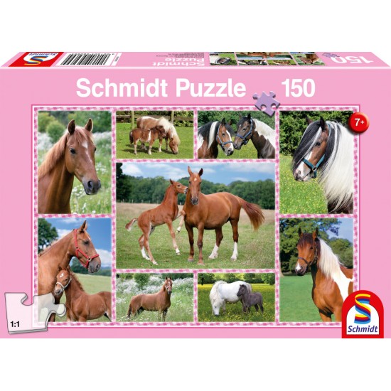 Puzzle Schmidt: Cai fermecători, 150 piese