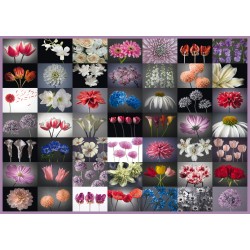 Puzzle Schmidt: Felicitare cu flori, 2000 piese